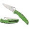 Spyderco 2024 Spyderco Reveal 6 Green Pacific Salt 2 Lc200N Steel Plain Edge SPY-C91FPGR2 - alternate 1